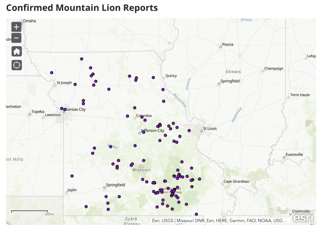 mountain lions sightings Missouri map